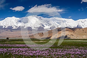 Stunning Karakorum landscape