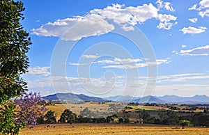 Stunning landscape cattle grazing fields, farms, blue sky, mountain range