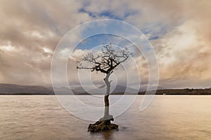 Stunning landscape image of Milarrochy Bay on Loch Lomond in Scottish Highlands with stunning Winter evening ligh