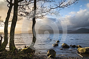 Stunning landscape image of Milarrochy Bay on Loch Lomond in Scottish Highlands with stunning Winter evening ligh