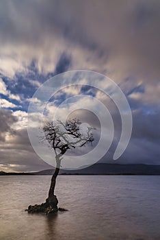 Stunning landscape image of Milarrochy Bay on Loch Lomond in Scottish Highlands with stunning Winter evening ligh