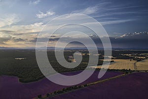 A stunning landscape with the lavender fields at sunset in Brihuega
