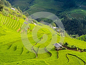 Stunning landscape of terraced rice field in the mountains of Mu Cang Chai, northern Vietnam