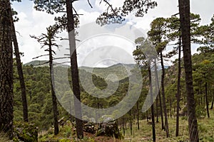 Stunning landscape view of a Mount Tlaloc in Mexico under a cloudy sky