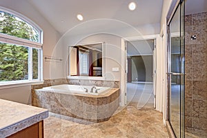 Stunning master bathroom with luxury spa tub.