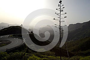 Stunning nature in the highlands Cruz de Tejeda at Gran Canaria, canary island under Spanish flag.