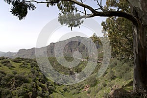 Stunning nature in the highlands Cruz de Tejeda at Gran Canaria, canary island under Spanish flag.