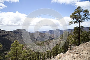 Stunning nature in the highlands of Gran Canaria, canary island under Spanish flag.