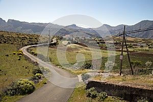 Stunning nature in the highlands of Gran Canaria, canary island under Spanish flag.