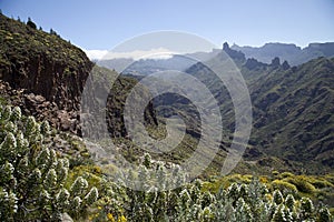 Stunning nature in the highlands of Gran Canaria, canary island under Spanish flag.