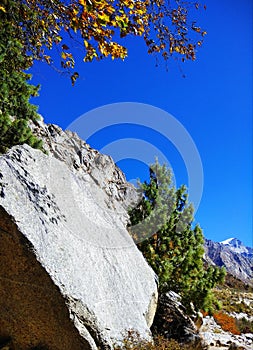 Stunning nature landscape Gangotri glacier Himalayas Uttrakhand