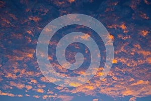 Stunning orange altocumulus clouds at sunset / sunrise. Amazing colorful sky.  Orange clouds on blue sky background