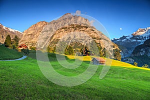 Stunning orderly green field with high snowy mountains,Grindelwald,Switzerland