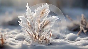 Stunning Outdoor Landscape with Frozen Plants, Ice, and Snow Glistening under the Morning Sun.