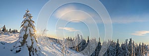 Stunning panorama of snowy landscape in winter in Black Forest - Snow view winter wonderland snowscape background banner with