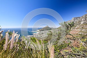 Stunning panorama view of the suburb of Camps Bay and Lion`s Head and Table mountain