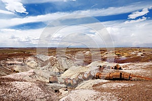 Stunning petrified wood in the Petrified Forest National Park, Arizona