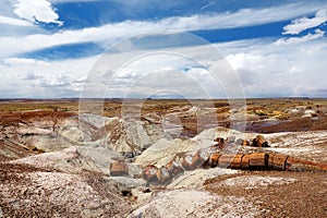 Stunning petrified wood in the Petrified Forest National Park, Arizona