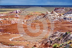 Stunning petrified wood in the Petrified Forest National Park, Arizona