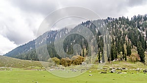 Stunning photograph of Kashmir valley Paradise on Earth. Beautiful view of Betaab Valley surrounded by snow frozen Himalayas