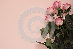 Stunning pink bouquet of roses on punchy pink background. Copy space, floral frame. Wedding, gift card, valentine`s day or mother