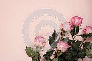 Stunning pink bouquet of roses on punchy pink background. Copy space, floral frame. Wedding, gift card, valentine`s day or mother