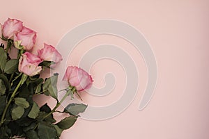Stunning pink bouquet of roses on punchy pink background. Copy space, floral frame. Wedding, gift card, valentine`s day or mother