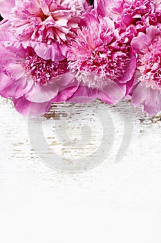 Stunning pink peonies on rustic wooden background