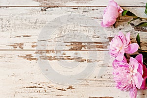 Stunning pink peonies on white light rustic wooden background. Copy space, floral frame. Vintage, haze looking. photo
