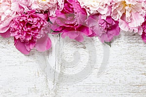 Stunning pink peonies on white rustic wooden background