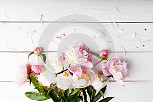 Stunning pink peonies on white rustic wooden background. Copy space