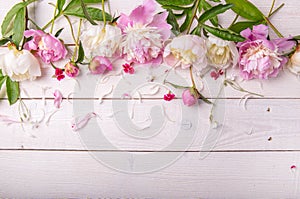 Stunning pink peonies on white rustic wooden background. Copy space