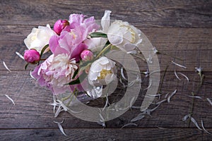 Stunning pink peonies on white rustic wooden background. Copy space