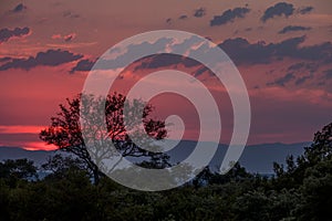 Stunning pink and red sunset at Sabi Sands Game Reserve, Kruger, South Africa.