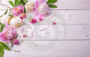 Stunning pink and white peonies on rustic wooden background. Copy space. Mother`s, Valentines, Women`s Wedding Day