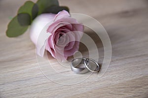 Stunning platinum wedding rings on a pale ash wood background with pink rose buttonhole