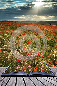 Stunning poppy field landscape in Summer sunset light conceptual