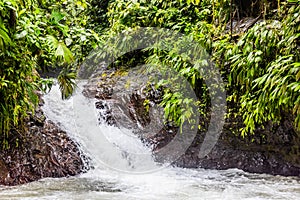 Stunning Rainmaker Waterfalls with Green Trees Rushing Water