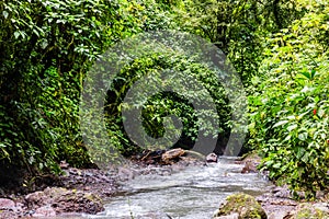 Stunning Rainmaker Waterfalls with Green Trees Rushing Water