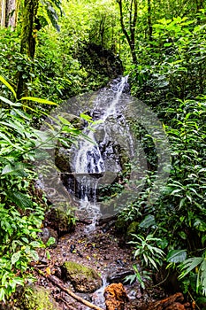 Stunning Rainmaker Waterfalls with Green Trees Rushing Water