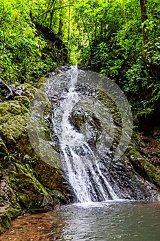 Stunning Rainmaker Waterfalls with Green Trees Rushing Water