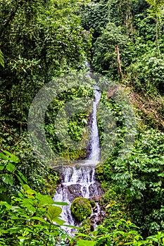 Stunning Rainmaker Waterfalls with Green Trees Rushing Water