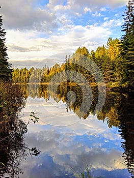 Stunning reflection of early autumn trees on a beaver pond in Algonquin National Park