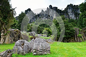 Stunning rock formations at Mangaotaki Valley, filming location of `The Hobbit, an Unexpected Journey`