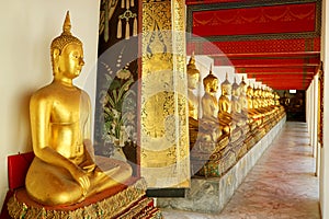 Row of Buddha Images in Sitting Posture at the Cloister of Wat Pho or Temple of the Reclining Buddha, Bangkok, Thailand