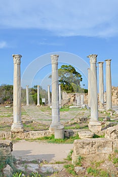 Stunning ruins of ancient Greek city Salamis located in todays Northern Cyprus. The white pillars were part of Salamis Gymnasium