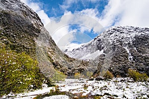 The stunning scenery of a rocky mountain and trees covered with a white snow. A road to Milford Sound. A filmed while driving. I