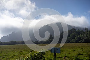 Stunning scenery on US Highway 101