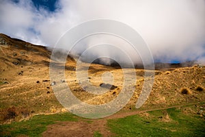 Stunning scenic views of the bays of Lake Wanaka and the snowy Southern Alps from the Roys Peak mountain track