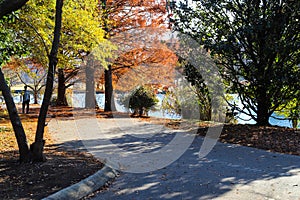 A stunning shot of gorgeous red autumn trees near a still lake in the park along a smooth walking path at Centennial Park